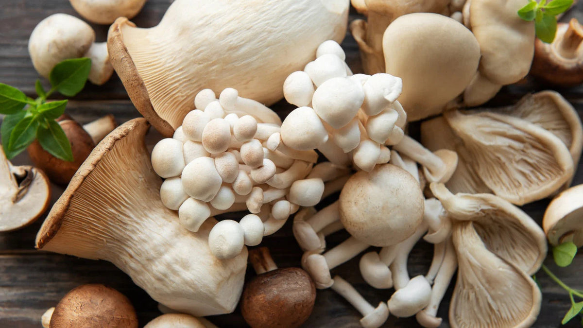 Why <em>Adaptogens</em> Change Everything
